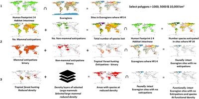 Where Might We Find Ecologically Intact Communities?